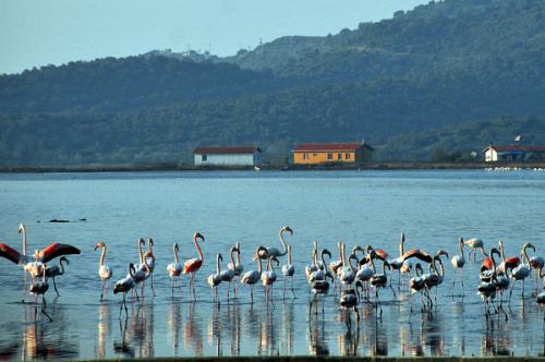 Bodrum havalimanı Tuzla Vip Transfer